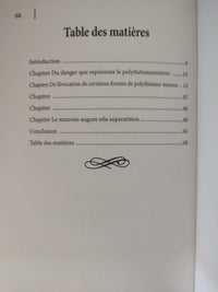 Le polythéisme mineur